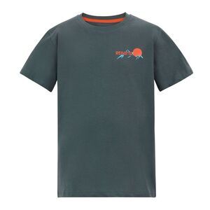 Regatta Childrens/Kids Bosley Mountain Scene Back Print T-Shirt / Dark Storm